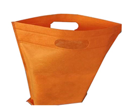 Non woven shopping bag