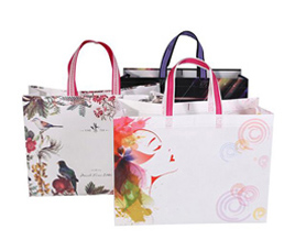 Non woven bag with laminated